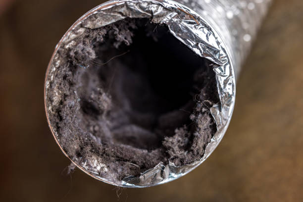 Best Local Air Duct Cleaning Services  in Keenesburg, CO